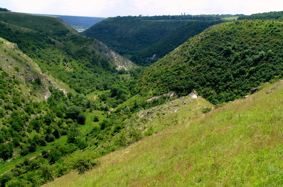Zbor cu parapanta la Țîpova